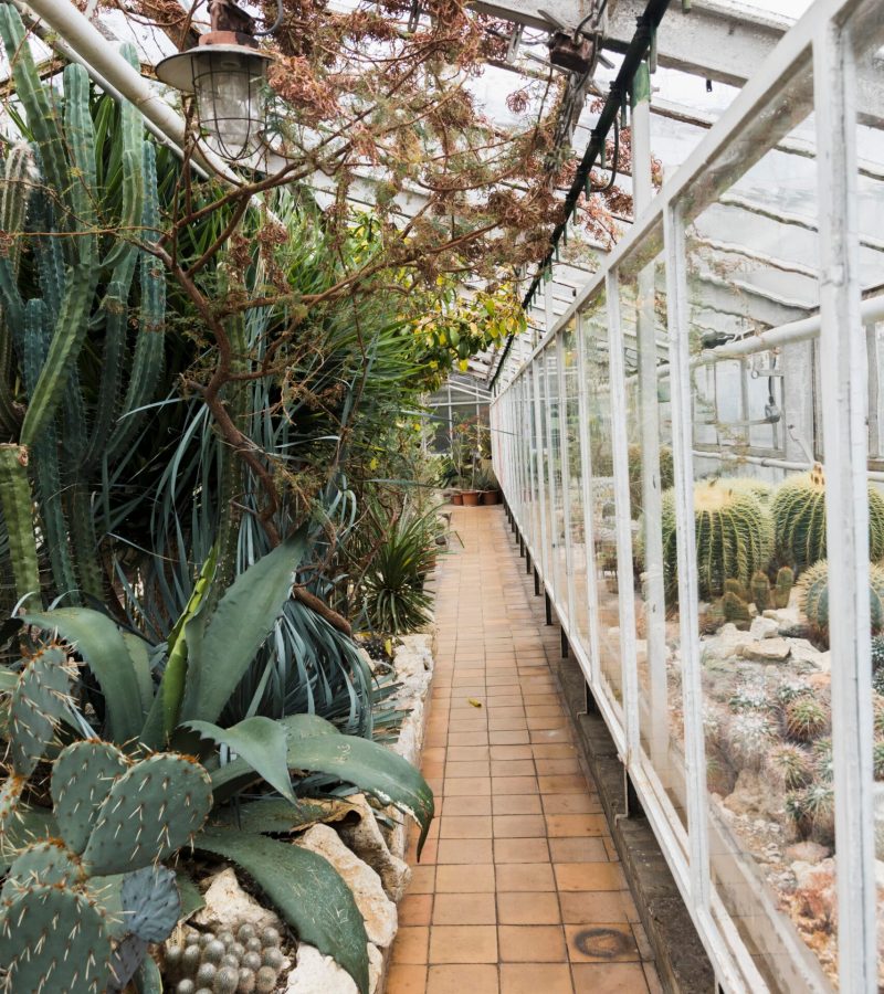 greenhouse-still-life